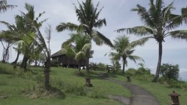 Kamera bir palm grove bir yol üzerinde evden ayakta tropikal deniz kıyısında güneşli bir günde taşır