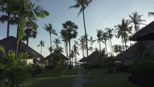 Camera Moves Territory Tropical Sea Hotel Bungat Located Palm Grove — Stock Video