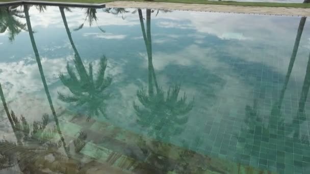 Palmeiras Afetam Água Piscina Verão Dia Ensolarado Resort Tropical — Vídeo de Stock