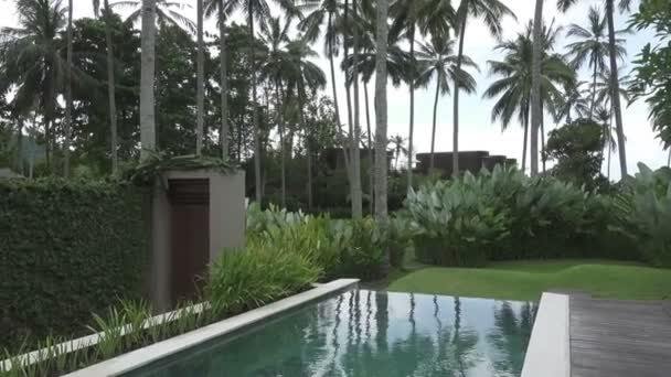 코코넛과 야자수 수영장의 가장자리에 거짓말에 칵테일 리조트에서 나머지 — 비디오