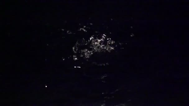 Frascos de ar em água sobre fundo preto — Vídeo de Stock