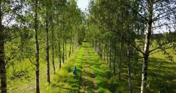 Ağaçlar Uzun Sarı Saçlar Huş Avenue Gidiş Bir Mavi Elbiseli — Stok video