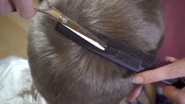Primer Plano Del Peinado Del Hombre Máquina Para Peinado Los — Vídeo de stock