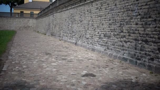 リガ城 大統領のラトビア旧市街リガ ラトビアの住居観 — ストック動画
