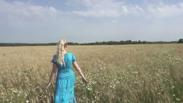 長い金髪を持つ若い細い女性は晴れた日に熟した小麦のフィールドを越え行く — ストック動画
