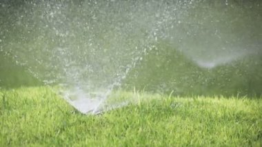 Sistem otomatik bir çim parlak yeşil subshort saçlı çim çimen ile güneşli bir günde sulama. su püskürtme için bir meme meme yakın çekim