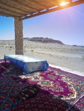 Yatağın altında bir gölgelik çölde gölgede dinlenmek. Özbekistan