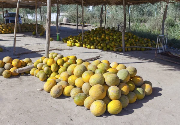 Oezbekistan Verkoop Van Meloenen Langs Weg — Stockfoto