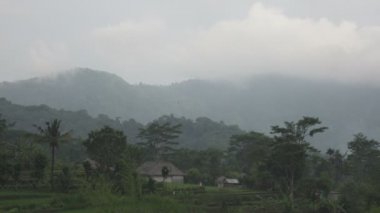 Tropikal bir bahçe için yağmurlu sabah. Güneşin dağların üzerinden, Bali yükselir. Endonezya