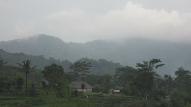 Manhã chuvosa em tropical a um jardim. O sol nasce sobre as montanhas, Bali. Indonésia — Vídeo de Stock
