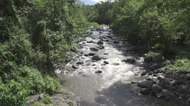 Der tiefe Gebirgsfluss nach einem tropischen Regen, erstaunliche Flusslandschaft mit dichtem, exotischem Wald, der am felsigen Flussufer und an einem reißenden Wasserlauf wächst. bali, indonesien — Stockvideo