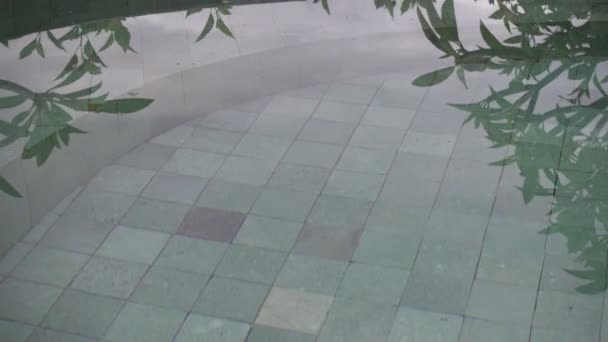 Vista desde la piscina en terrazas de arroz de montaña y casa de agricultores. Bali, Indonesia — Vídeos de Stock