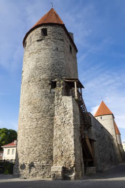 Ortaçağ kulesi. Tallinn, Estonya