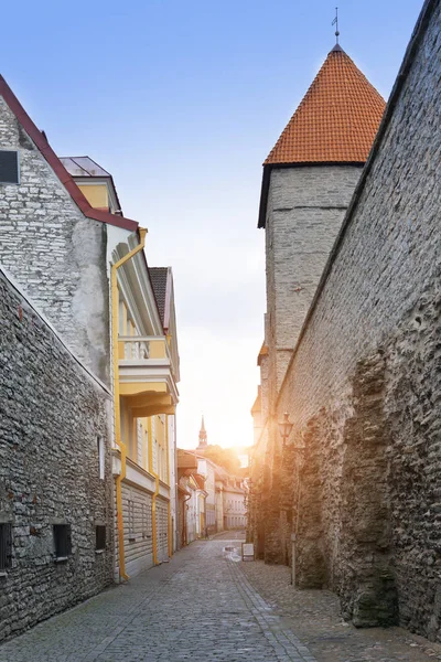 Tour Médiévale Partie Muraille Ville Tallinn Estonie — Photo