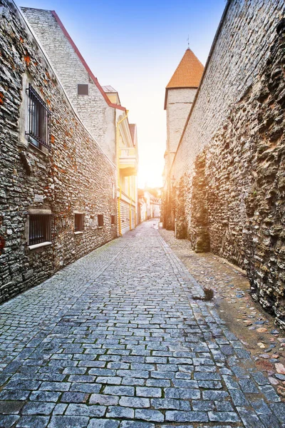 Középkori Torony Része Városfal Tallinn Észtország — Stock Fotó
