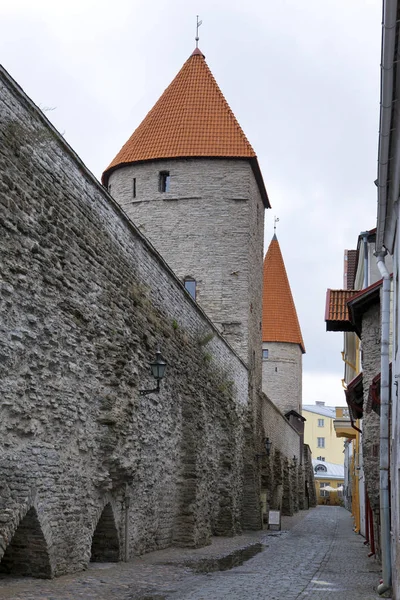 Torre Medieval Parte Del Muro Ciudad Tallin Estonia —  Fotos de Stock