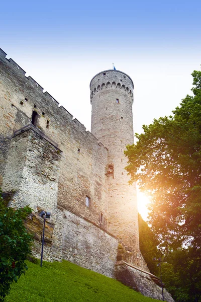 Vysoká Hermann Věž Hradu Toompea Vrchu Toompea Tallinn Estonsko — Stock fotografie