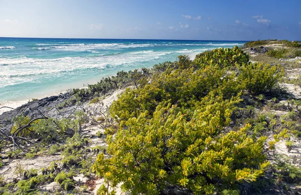 Spiagge Del Mar Dei Caraibi Sull Isola Cayo Largo Cuba — Foto Stock