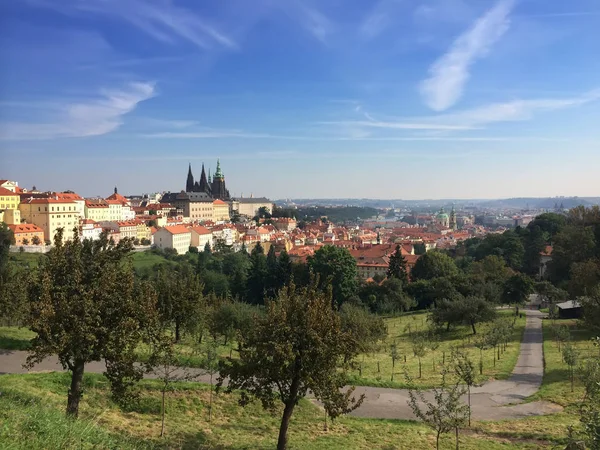 Вид Смотровой Площадки Старый Город Огюст Чехия — стоковое фото