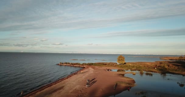 Vista desde el dron en la playa de arena y la costa del Golfo de Finlandia, en el horizonte los distritos de San Petersburgo — Vídeos de Stock