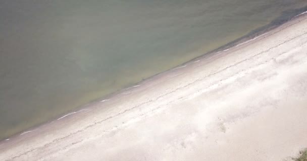 Vista desde el dron en la playa de arena y la costa del Golfo de Finlandia, en el horizonte los distritos de San Petersburgo — Vídeo de stock