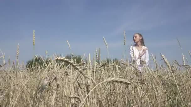 穿着白色衬衣和牛仔裤的年轻修长的女人 穿过成熟的麦子到夏日晴朗的日子 — 图库视频影像