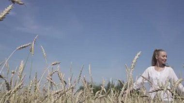 uzun sarı saçlar Beyaz tişört ve kot olan ince kadın olgun buğday tarlada yaz güneşli gün gider.
