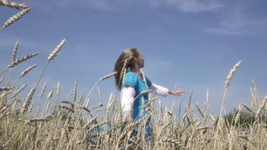 uzun sarı saçlar, mavi bir elbise olan mutlu ince kadın olgun buğday alanında yaz güneşli bir günde döner. Ağır çekim