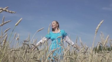 uzun sarı saçlar, mavi bir elbise olan mutlu ince kadın olgun buğday alanında yaz güneşli bir günde döner. Ağır çekim