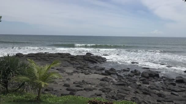 La costa del mar tropical en el día soleado, las olas corren en la costa con piedras negras — Vídeo de stock