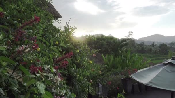 Blick auf Reisterrassen von Berg und Bauernhaus bei Regen. bali, indonesien — Stockvideo