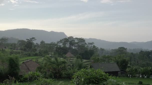 Vista em terraços de arroz de montanha e casa de agricultores durante uma chuva. Bali, Indonésia — Vídeo de Stock