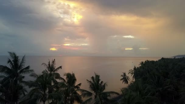 Аэродромный Вид Дрона Солнца Над Морем Через Пальмы Пляже Бали — стоковое видео