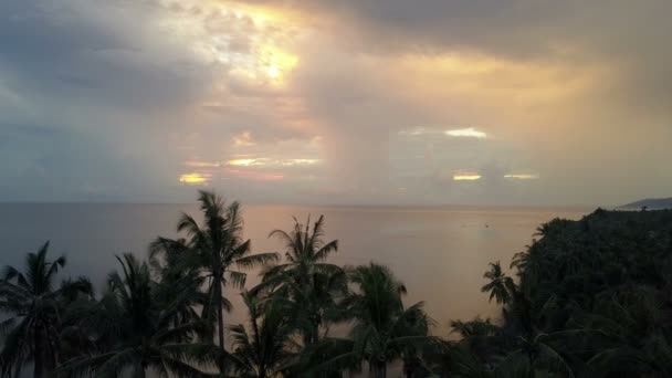 在印度尼西亚巴厘岛的海滩上从黎明的太阳透过棕榈树海上无人机航空视图 — 图库视频影像