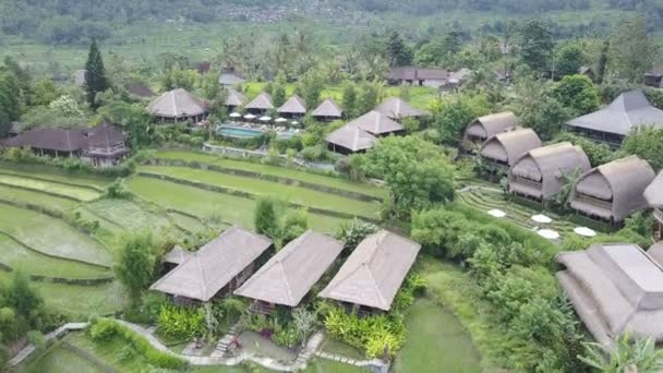 Вид Дрона Рисовые Террасы Горы Дома Фермеров Бали Индонезия — стоковое видео