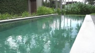 Tropikal meyve ve coco tropikal tatil havuzda