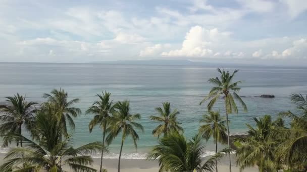 Uitzicht Het Strand Het Tropische Resort Een Palmen Gaard Zandkust — Stockvideo