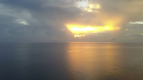 바다에 일출입니다 항공기에서 에어로 야자수와 구름을 빛나는 바다에서 — 비디오