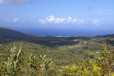 Mauritius 'un doğası. Ahşap ve dağlar