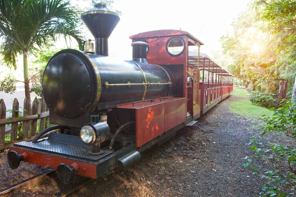 毛里求斯 2012年4月26日 在铁轨铁路上行驶的古代蒸汽机车 毛里求斯 — 图库照片