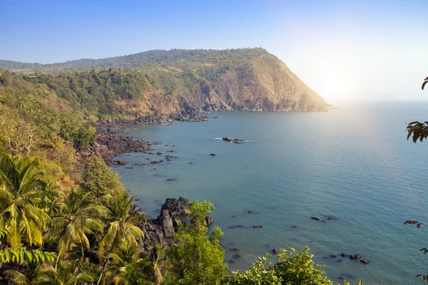 Goa India Indah Pemandangan Dari Pantai Curam Hutan Dan Laut — Stok Foto