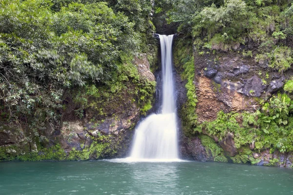 毛里求斯 颜色的地球 公园在母马 Aux 钻头的小瀑布 — 图库照片