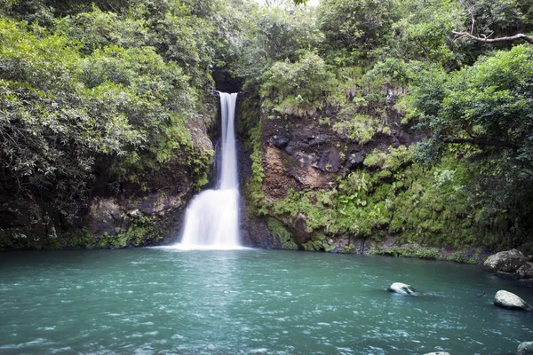 Mauritius Színek Föld Valley Parkban Mare Aux Aiguille Kis Vízesés — Stock Fotó