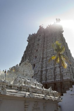 Beyaz renk Kanyakumari 'deki Hindu tapınağını süslüyor, Tamil Nadu, Hindistan