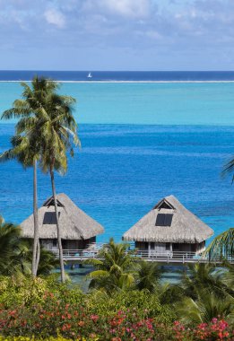 Bora Bora adasının mavi lagünü, Polinezya. Palmiye ağaçları, su ve deniz üzerinde geleneksel lodges üzerinde üst görünümü