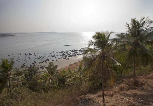 India Goa Palme Mare Spiaggia — Foto Stock