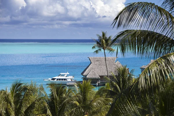 Blå Lagunen Bora Bora Polynesien Topputsikt Palmer Traditionella Loger Över — Stockfoto
