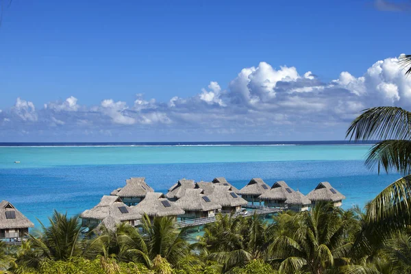 Laguna Azul Isla Bora Bora Polinesia Vista Superior Palmeras Albergues —  Fotos de Stock