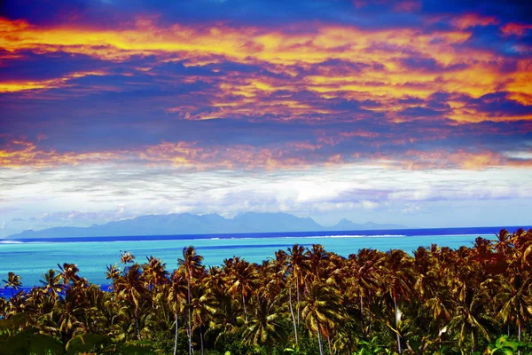 波利尼西亚Bora Bora岛的蓝色泻湖 棕榈树与大海尽收眼底 — 图库照片