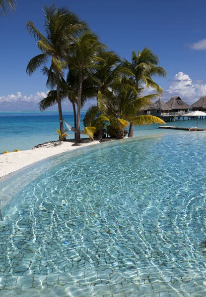海边棕榈树下的游泳池 波利尼西亚 塔希提岛 — 图库照片